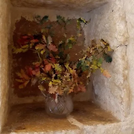 Le Dell'arco Casamassima